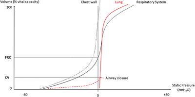 Airway Closure and Expiratory Flow Limitation in Acute Respiratory Distress Syndrome